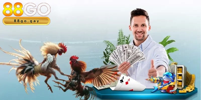 Đá gà 3 Giao diện tham gia chơi cá cược hấp dẫn