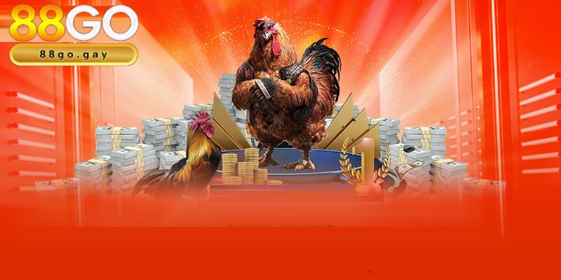 Đá gà 4 Sảnh chơi WS168 hấp dẫn chinh phục mọi thành viên